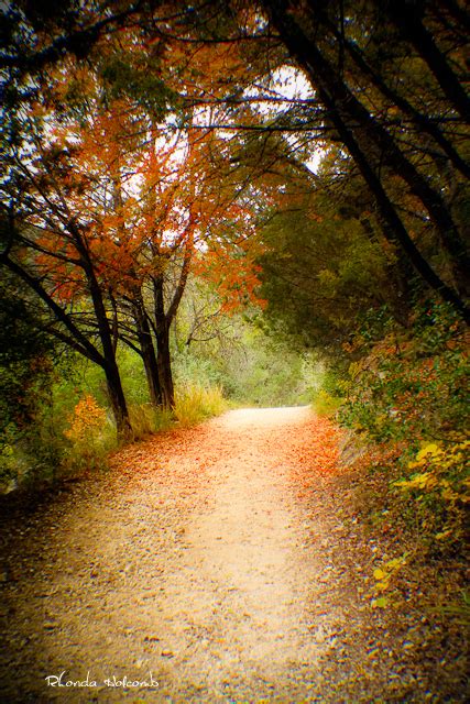 A Fall Walk By Rhonda Holcomb ©rhonda Holcomb Lost Maples Flickr