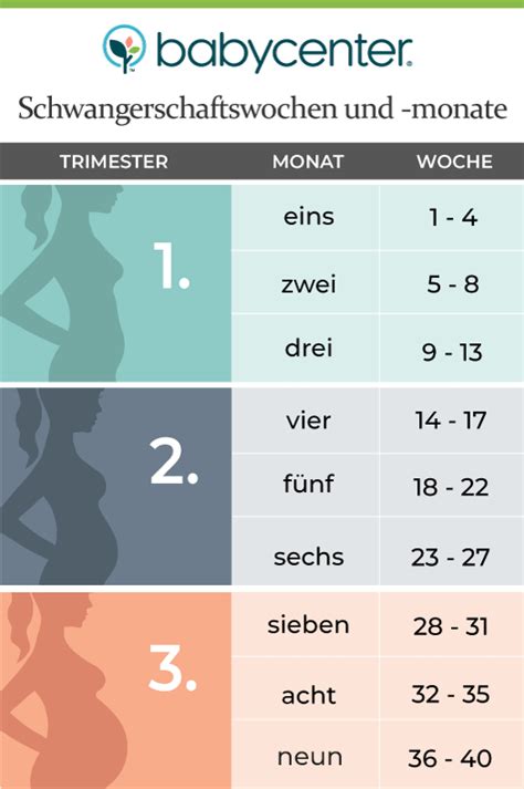 Spannend ist es für werdende mütter einen überblick zu bekommen, über die schwangerschaft: Ihre Schwangerschaft - die Wochen, Monate und Trimester ...