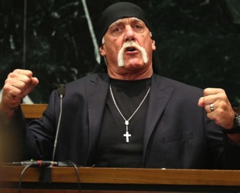 Sex Tape Hulk Hogan Awarded 115m Pm News