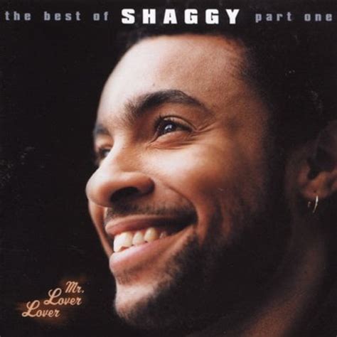 Mr Lover Lover The Best Of Shaggy Vol1