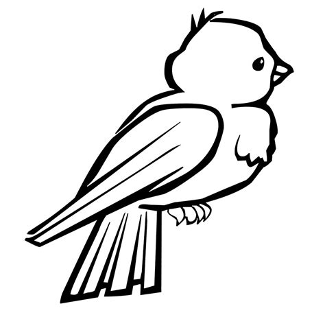 Desenho De Pequeno Pássaro Para Colorir Tudodesenhos
