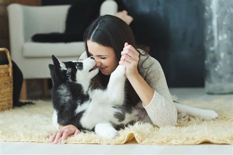 9 Signs Youre Dealing With A Total Mamas Dog