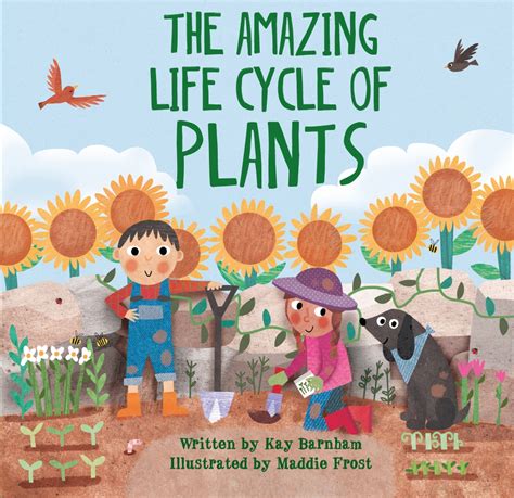 Look And Wonder The Amazing Plant Life Cycle Story By Kay Barnham