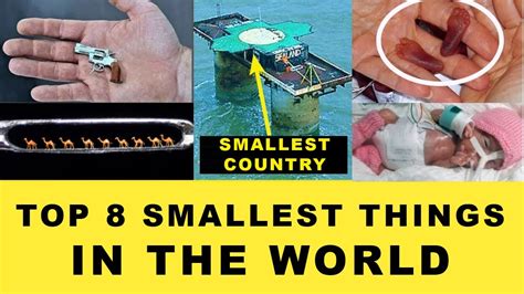 Smallest Things In The World Smallest Things In The Universe Top