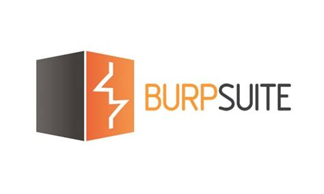 Burp Suite Beginner's Guide - Penetration Testing! | Cybervie