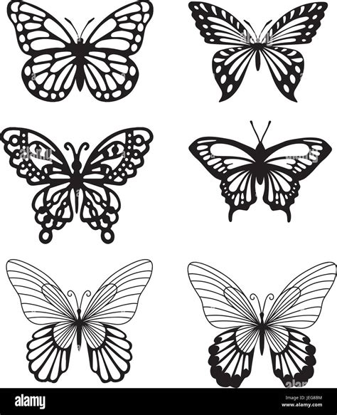 Blanco Y Negro Las Siluetas De Mariposas Imagen Vector De Stock Alamy