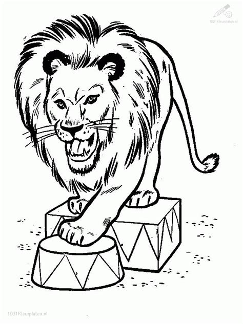Lion Head Coloring Page Coloring Home