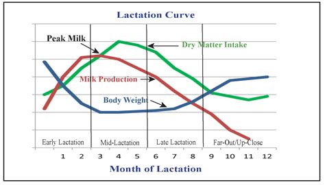 Feeding The High Producing Dairy Cow Pacer Technology