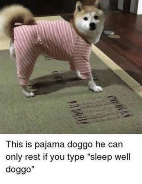25 Best Memes About Doggo Doggo Memes