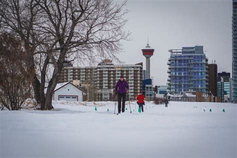 44 Awesome Things To Do In Calgary In Winter In 2023