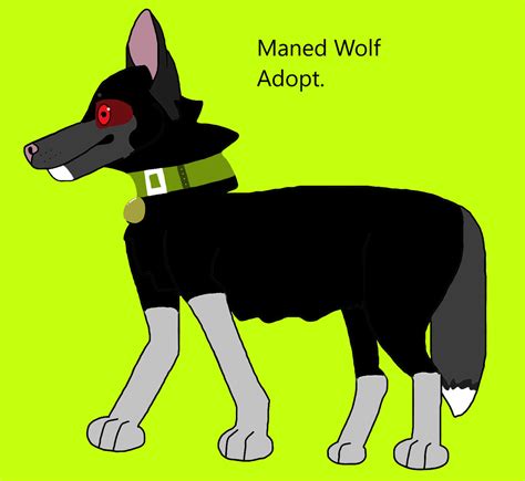Adopt Maned Wolf By Skittlesnail On Deviantart