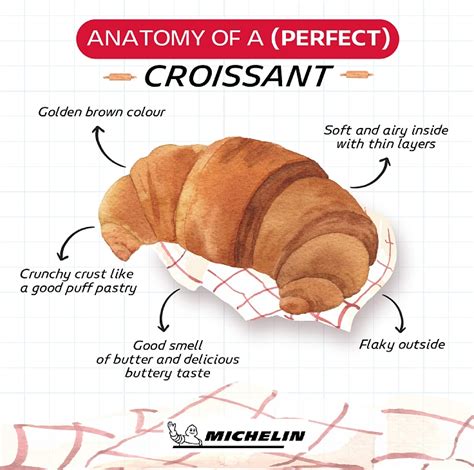 Decoding The Delicious Croissant