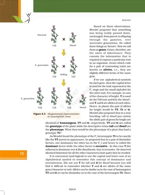 Principles Of Inheritance And Variation Ncert Book Of Class 12 Biology