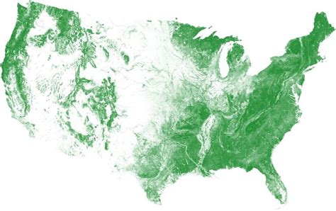 Us Tree Map Earthdefine Creates The Most Detailed Map Of Americas