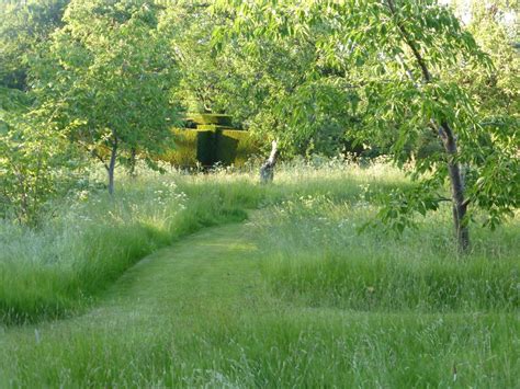England Mowing A Path Through Long Grass Or Wildflowers Orchard