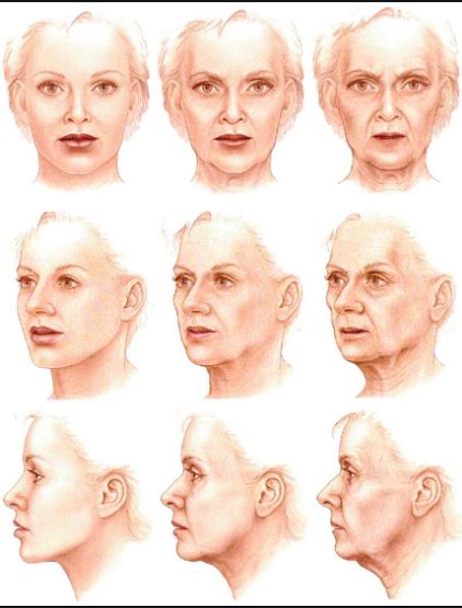 Ageing Of The Face Faciem Dermatology Clinic