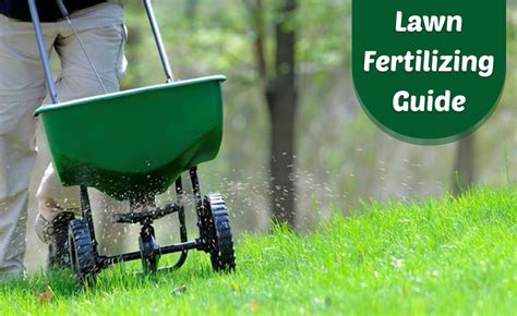 The Perfect Guide To Fertilizing Your Lawn