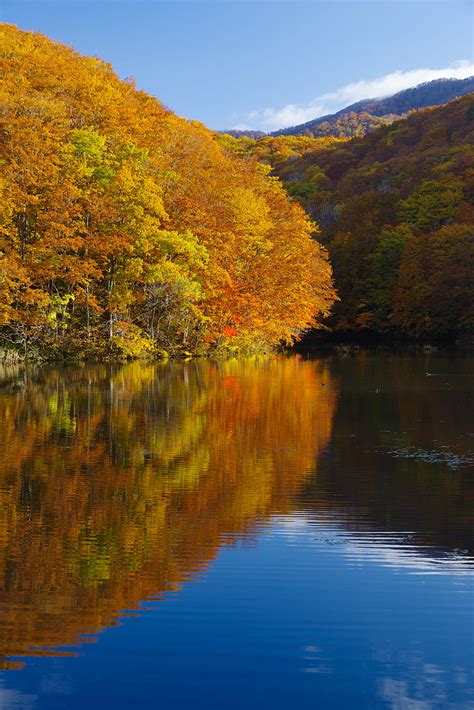 Lake Trees Reflections Autumn Landscape Hd Phone Wallpaper Peakpx