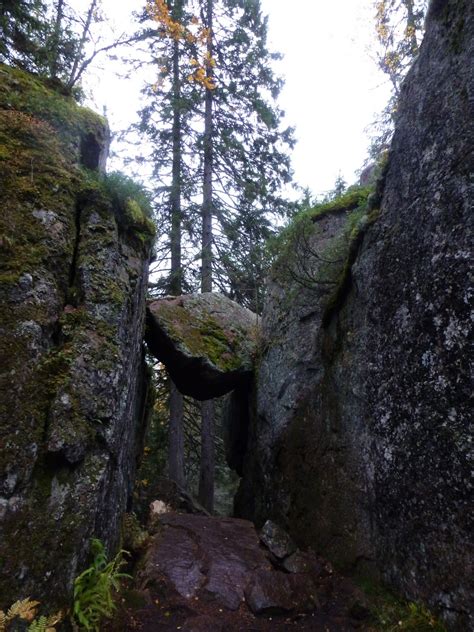 Free Images Tree Forest Rock Wilderness Walking Mountain Trail