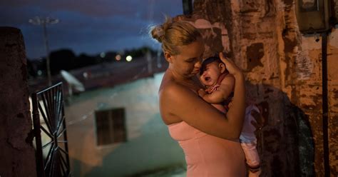 Short Answers To Hard Questions About Zika Virus The New York Times