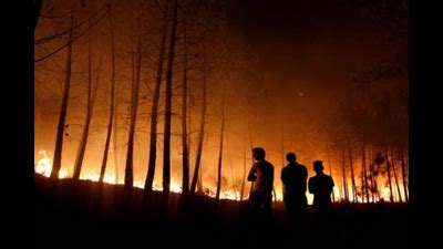 PKS Hermanto Tindak Tegas Perusahaan Asing Pembakar Hutan Riau