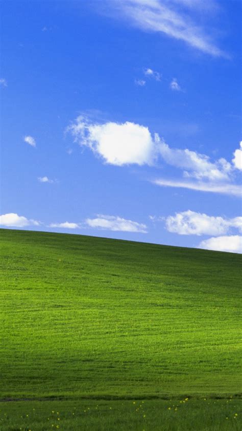 Windows Xp Wallpaper Bliss 54 Images