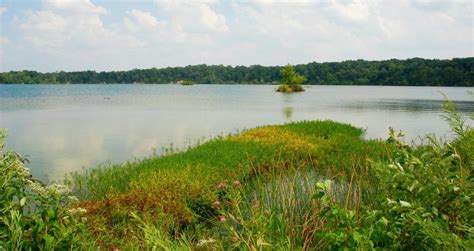 25 Best Lakes In Indiana