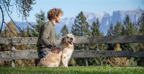 Le Vostre Vacanze Con Il Cane In Alto Adige Cani Benvenuti