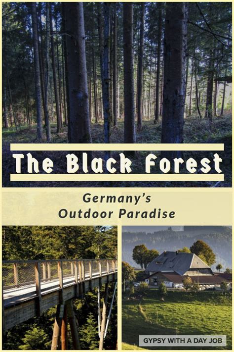 A Black Forest Trip Planner For Your Perfect Black Forest