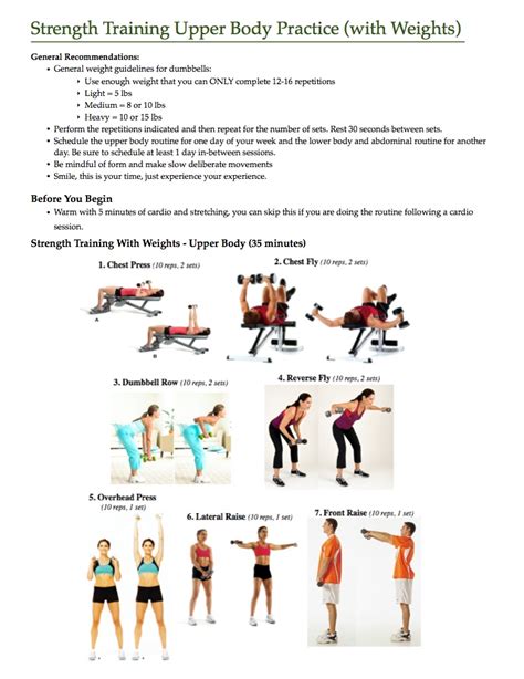 Muscular Strength And Endurance Upper Body Exercises Online Degrees