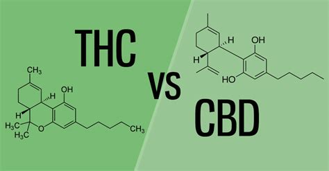 Cbd Vs Thc Whats The Difference Big Sky Botanicals