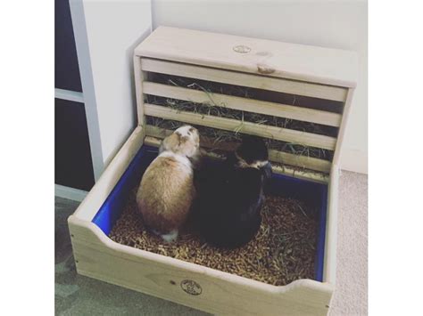 Rabbit Litter Box With Hay Feeder Large Rabbit Litter Rabbit Litter