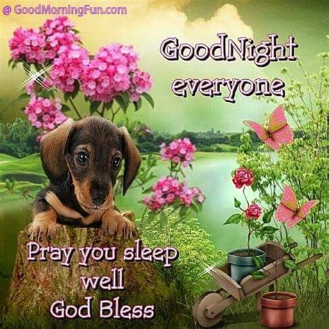 Good Night Wishes And Sleep Well Quotes Good Morning Fun