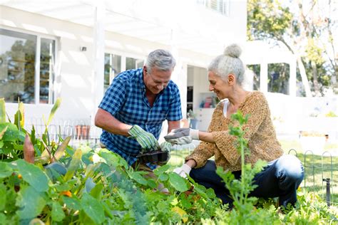 10 Gardening Tools For Seniors That Actually Make A Difference Food