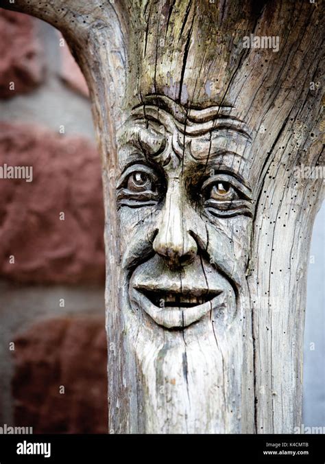 Wood Sculpting Face In Tree Trunk Stock Photo Alamy