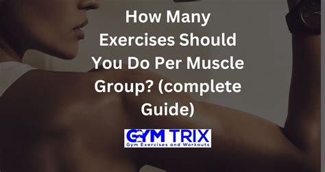 how many exercises should you do per muscle group complete guide gym trix