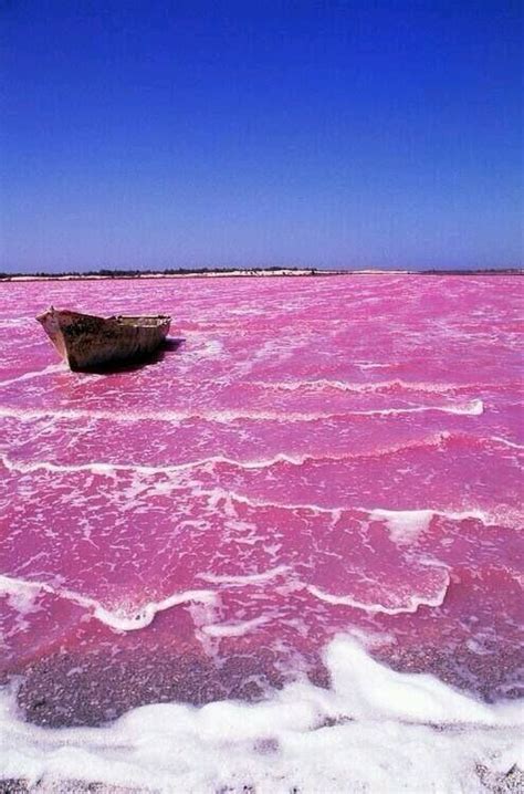 Lago Retba Oh The Places Youll Go Places Around The World Around The