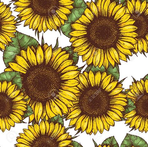 Sunflower Seamless Pattern Sunflower Fabric Background Vector