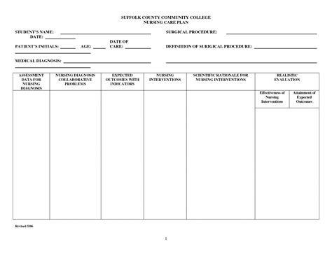 Sample Care Plan Template