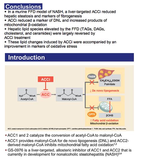 Acetyl Coa Carboxylase Regulation