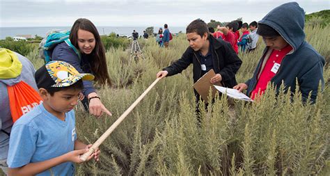 Questions For ‘kids Make Great Citizen Scientists Science News Explores