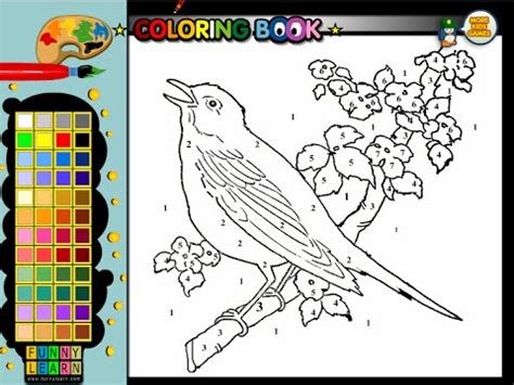 Bluebird Coloring Pages for Kids - Bluebird Coloring Pages - YouTube