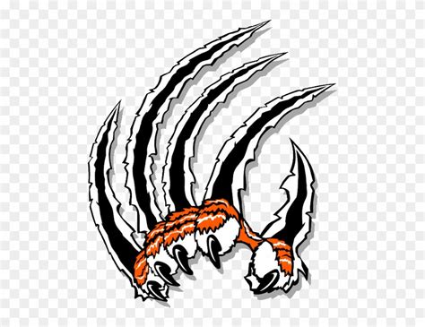 Claw Clip Art Tiger Claw Clipart Png Download 1984839 Pinclipart
