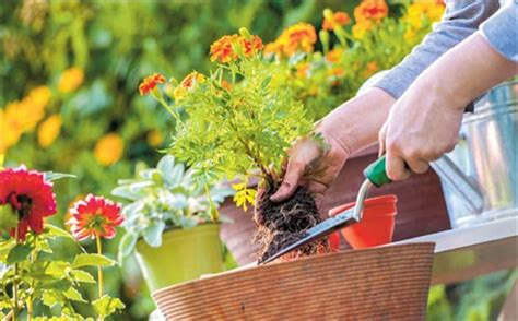 10 Winter Gardening Tips For Prolific Green Thumbs