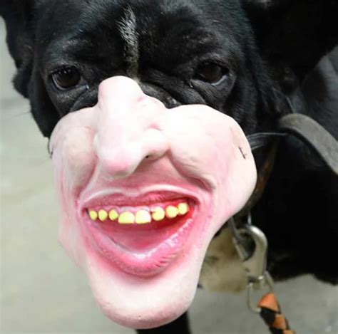 Amazon Is Seeling Dog Muzzles That Look Like Human Faces Vt