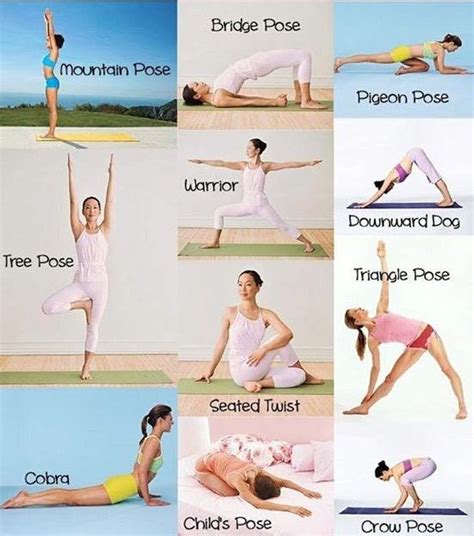 Yoga Für Anfänger Übungen Erfahrung Definition Und Arten Exercise
