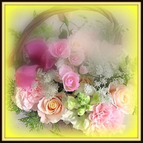 Beautiful Color Roses Fan Art 18577637 Fanpop