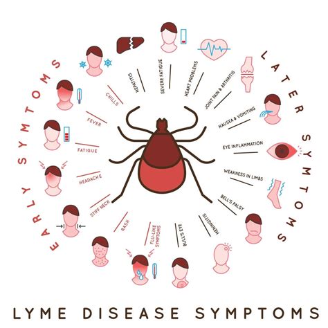 Awareness Of The Symptoms And Diagnosis Of Lyme Disease And The Ways T