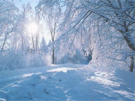 Snow Falling Wallpapers ~ Landscape Wallpapers|HD Wallpapers|Nature ...