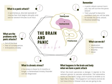 What Happens To The Brain During Panic Attacks 27f Chilean Way